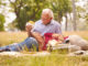 Old Couple Senior Man And Woman Doing Picnic