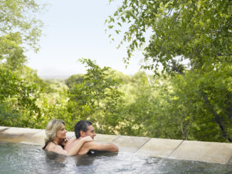 Rear view of an adult couple in pool looking at view